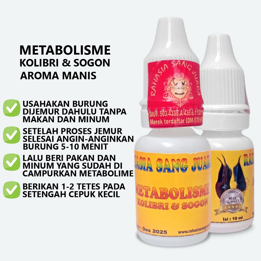 METABOLISME KOLIBRI DAN SOGON | VITAMIN METABOLISME BURUNG KOLIBRI DAN SOGON