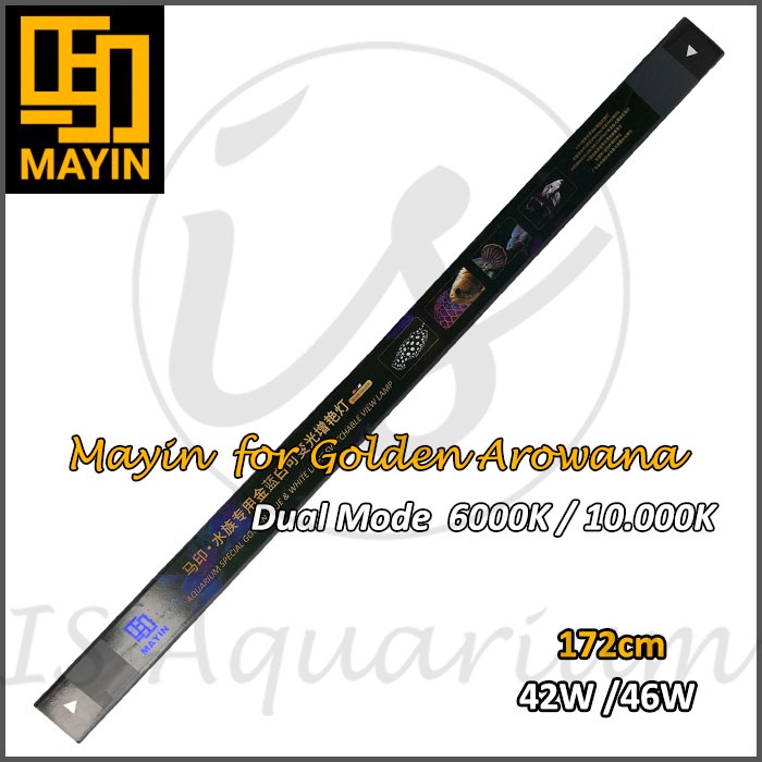 Mayin View Lamp Golden Lampu Celup Mayin LED Ikan Arowana 172cm