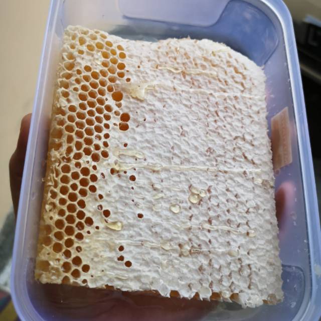 

Nottie honeycomb