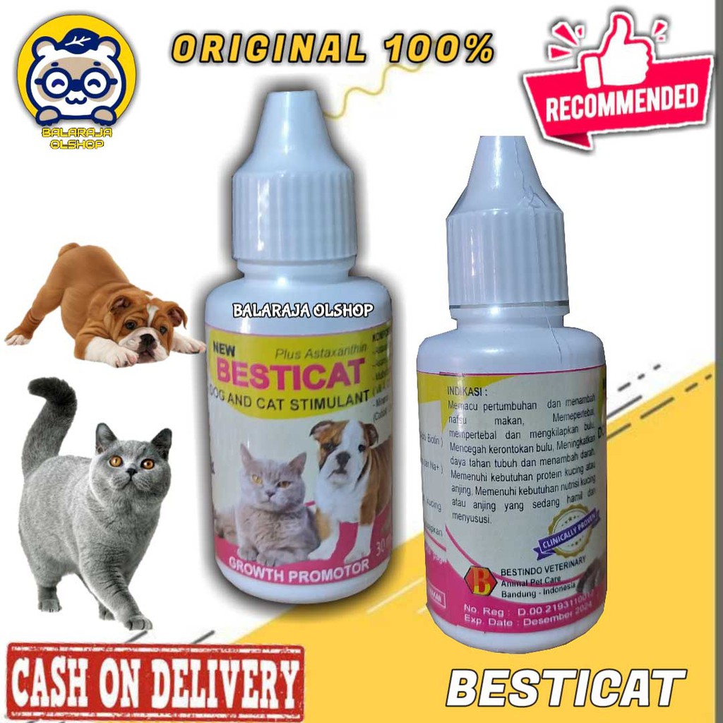 VITAMIN KUCING ANJING PENAMBAH NAFSU MAKAN DAN PENGGEMUK BADAN KITTEN &amp; PUPPY BESTICAT