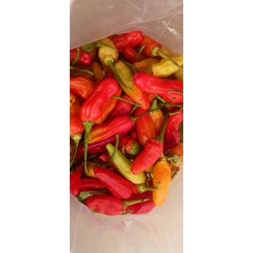 

Cabe Rawit merah 250/500 gram