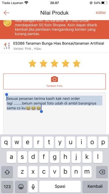 Es603 Bunga Hias Bonsai Sabit Jarum