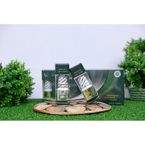 Propolis Brazil SM Obat Sinusitis Flu Pilek Menahun Bersin bersin Hidung Tersumbat Polip Hidung-4