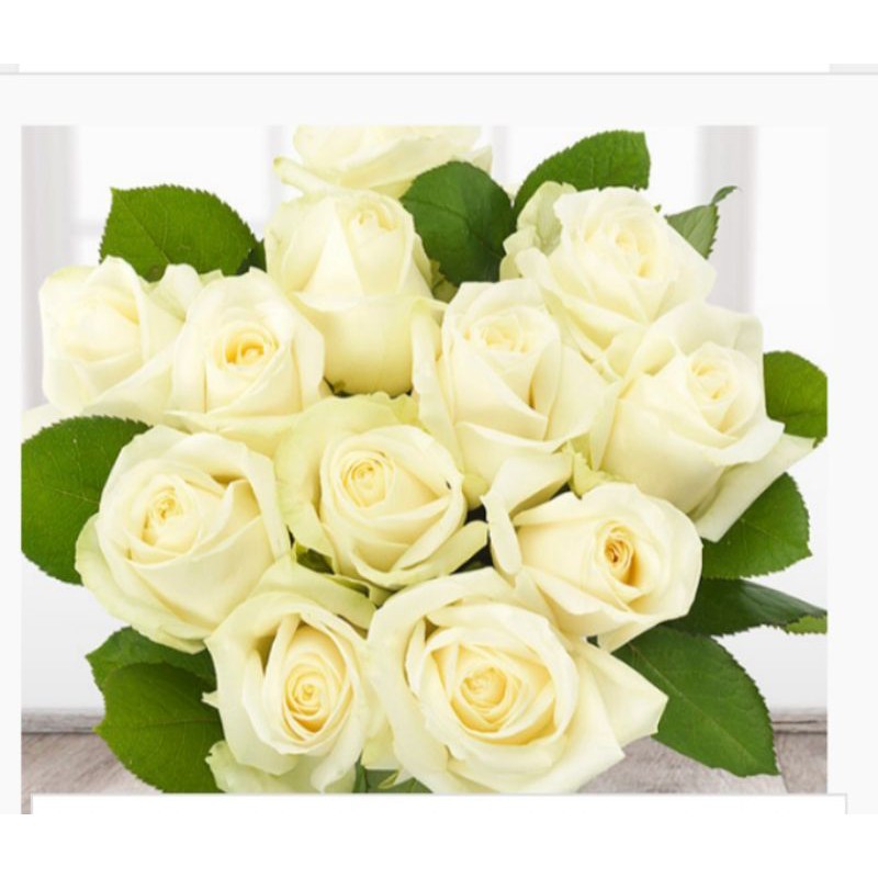 mawar warna putih 5 tangkai.Mawar segar warna putih.Mawar fresh