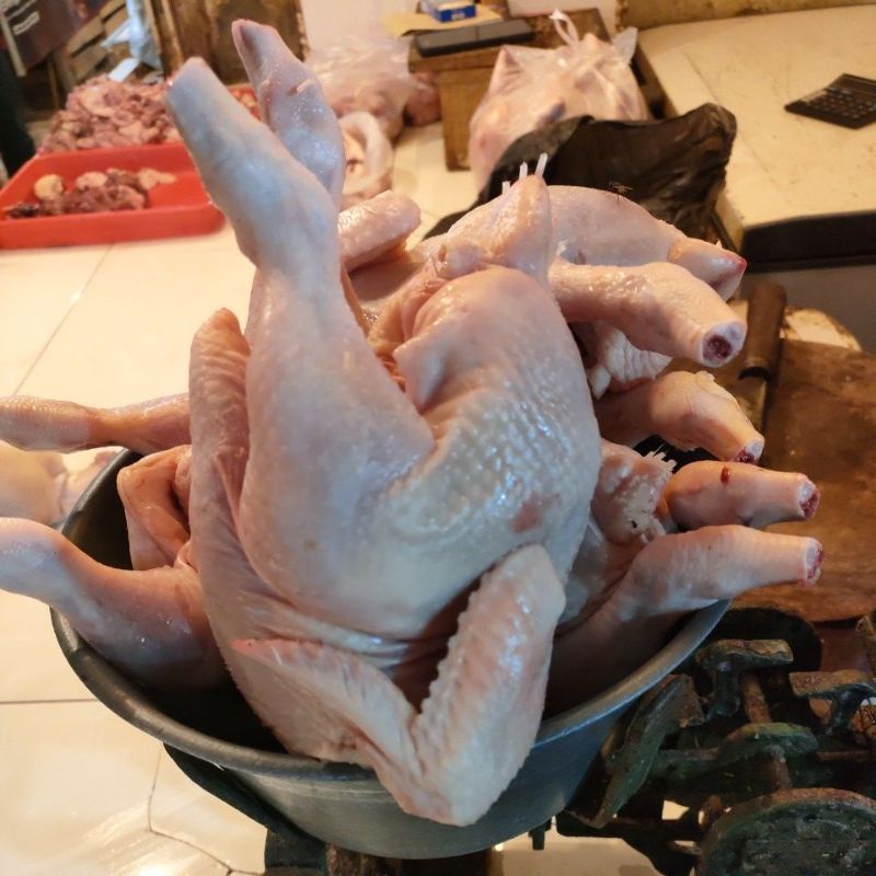 Ayam potong Fresh