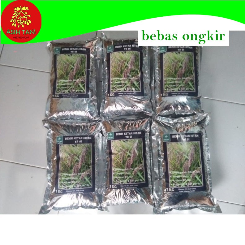 Benih Terong Hijau Hitavi F1