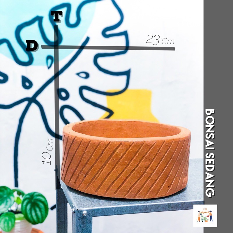 Pot Terakota / Pot Gerabah / Pot Teracotta / Tanah Liat Bonsai Sedang