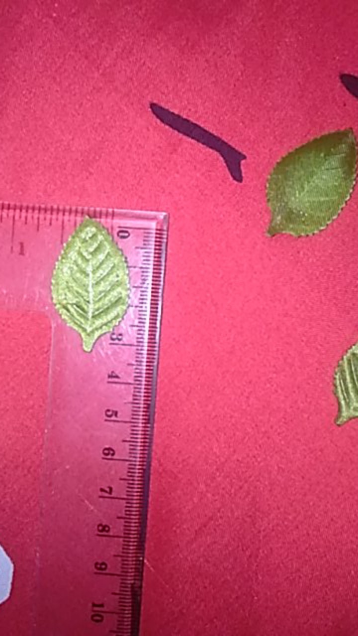 [bayar Di Tempat] Aplikasi Daun Tanpa Tangkai / Bahan Mahar Ringbox / Daun Beludru