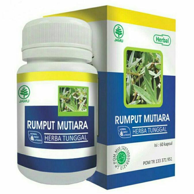 

Hiu Rumput Mutiara