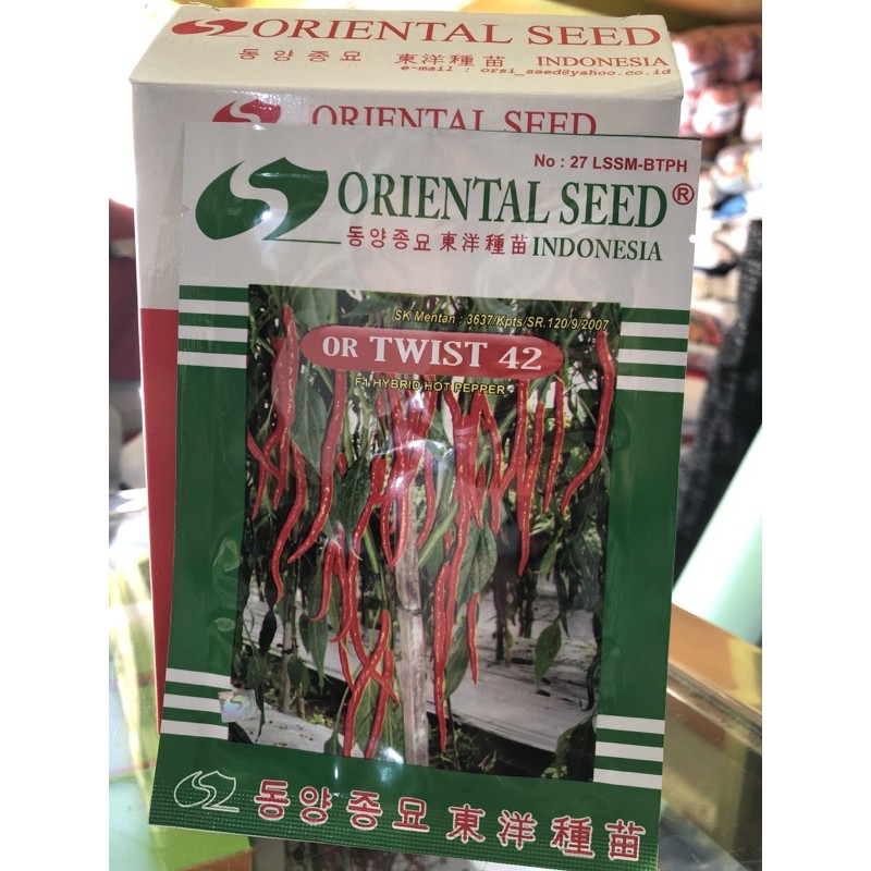 OR TWIST 42 Benih cabai/ cabe kriting
