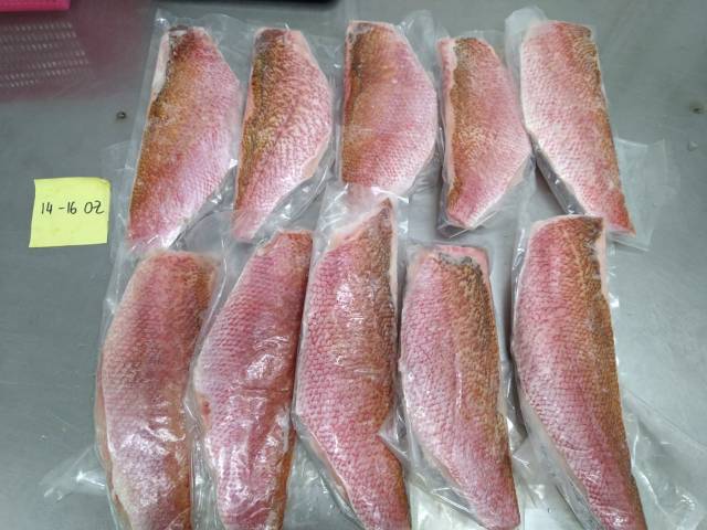 

SEAFOOD / FROZENFISH