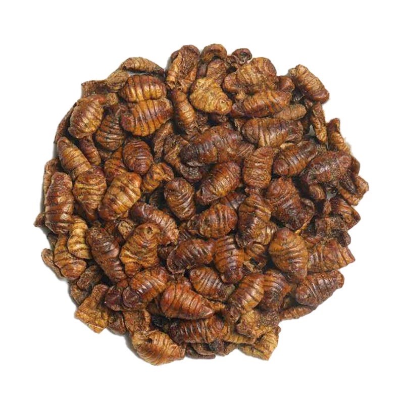 Nippon Silkworm Pupae 1kg 1 kg Ulat Sutra Makanan Ikan Koi Arwana Food