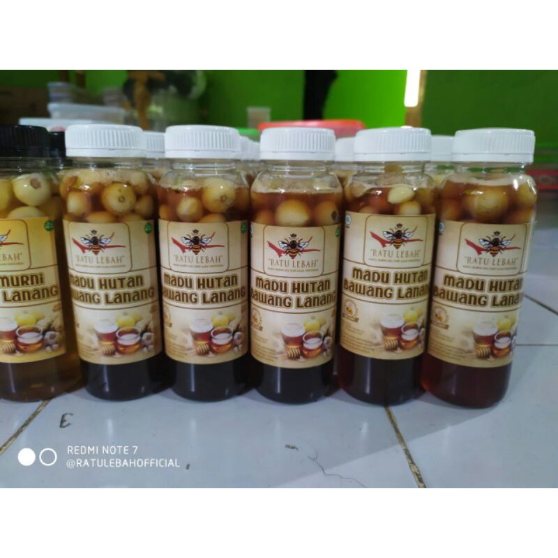 

Madu Hutan bawang lanang