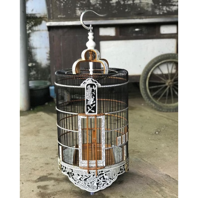 sangkar anis merah, sangkar anis jati, sangkar anis dm38