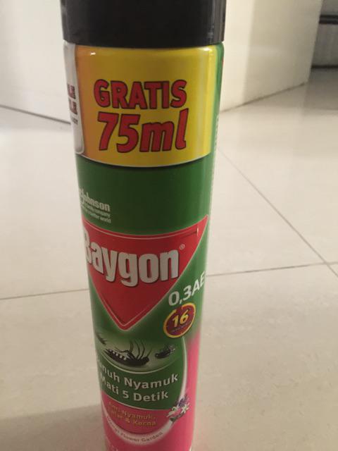 Baygon Flower Garden, Orange 600ml