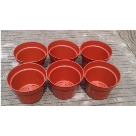 Pot Bunga 15 cm MERAH BATA HIJAU SILVER Pot 15cm Tanaman Hias Grosir Murah Hijau Merah Plastik 15cm