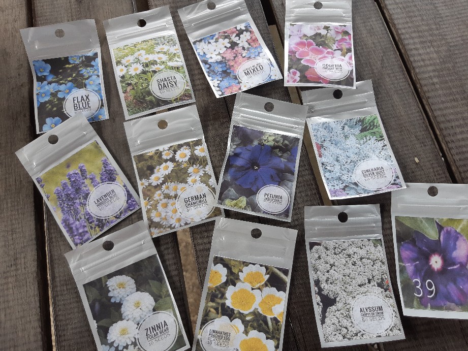 Lavender Hidcote Blue 10 Biji (benih Biji Bibit Tanaman Bunga)