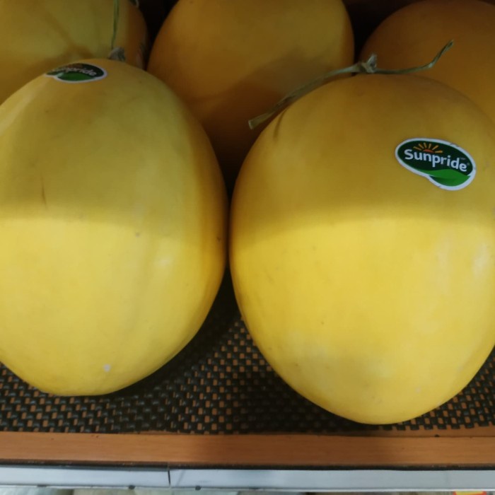 

Buah Melon Golden -+1.7kg