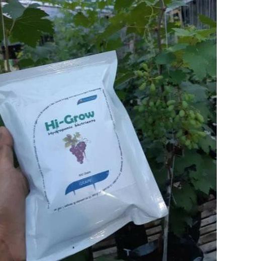 ➣ Pupuk Hi-Grow AB Mix Hidroponik Buah Anggur HiGrow By Raffatih Farm ✩