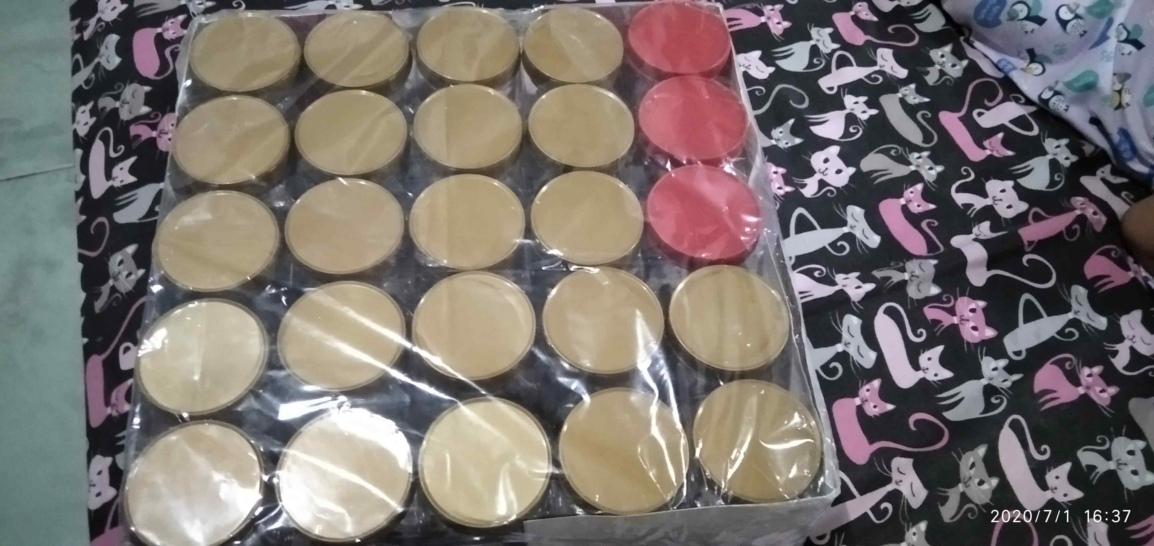 (25 Pcs) Grosir Toples Jar Plastik Serbaguna 300ml Sambal Sambel Bumbu Wadah Makanan Food Grade