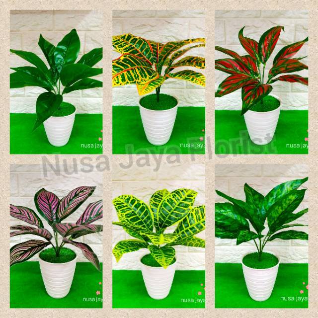 Rangkaian Daun Asstd Tirus D10 Shopee  Indonesia