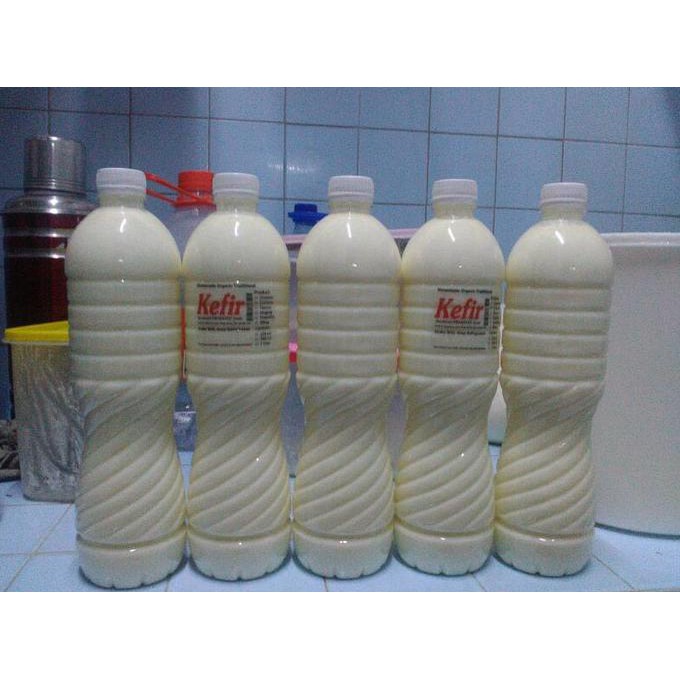 

ENAK Kefir Susu Homemade Organic Traditional TERLEZAT