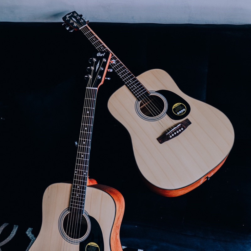 BEST SALLER Gitar akustik cort ad810 Custom