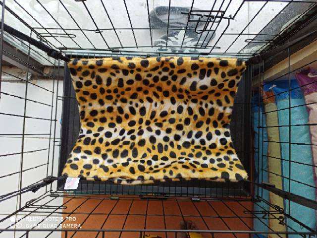 Hammock tempat tidur gantung kucing