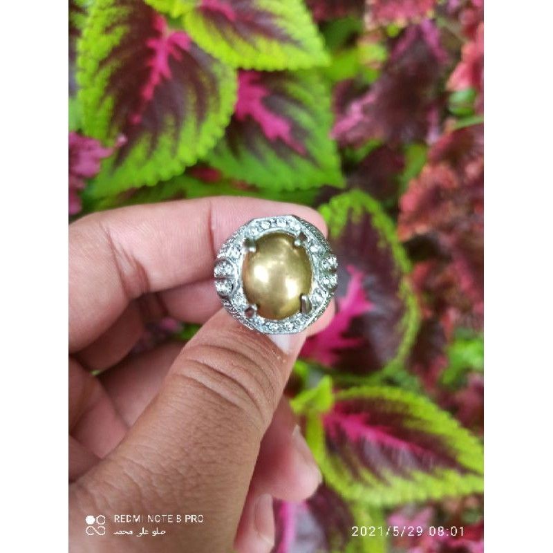Cincin Wesi Kuning Sari Kursani