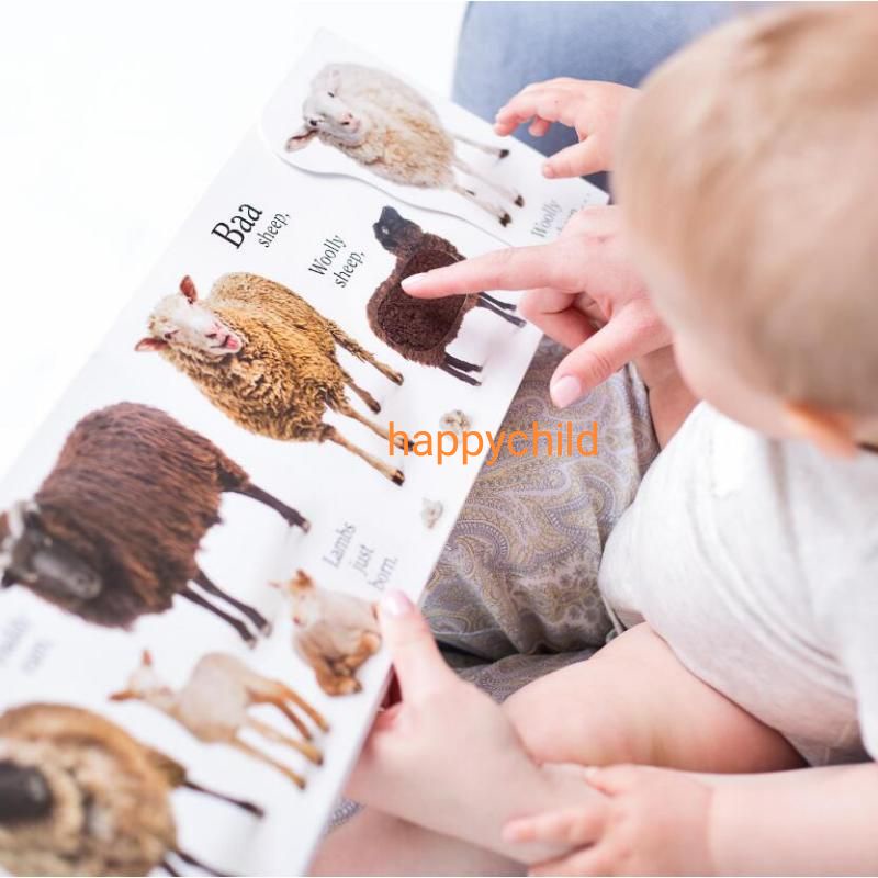 Original board book Moo Cat Dog by Van fleet buku anak buku inggris happychild