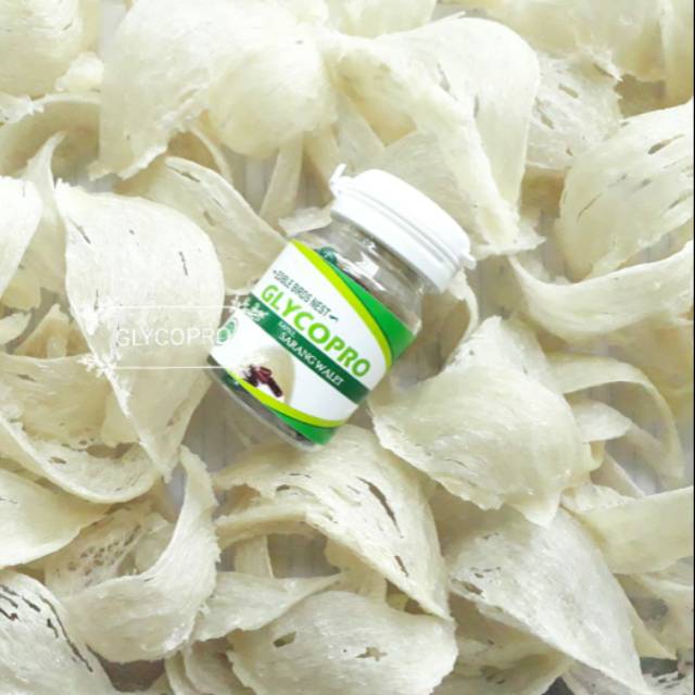 Obat Corona Covid-19 - Kapsul Herbal Sarang Burung Walet GLYCOPRO