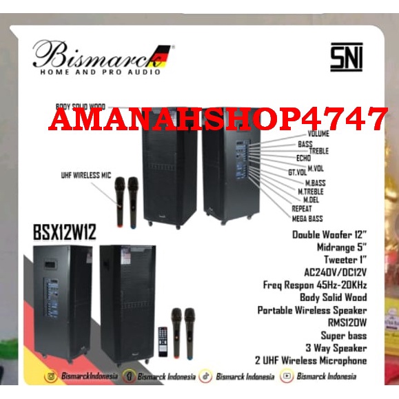 SPEAKER WIRLESS BISMARCK BSX12W12