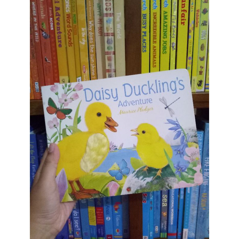 BOOKED. DAISY DUCKLING'S Adventure.  Maurice Pledger.  (PRELOVED)