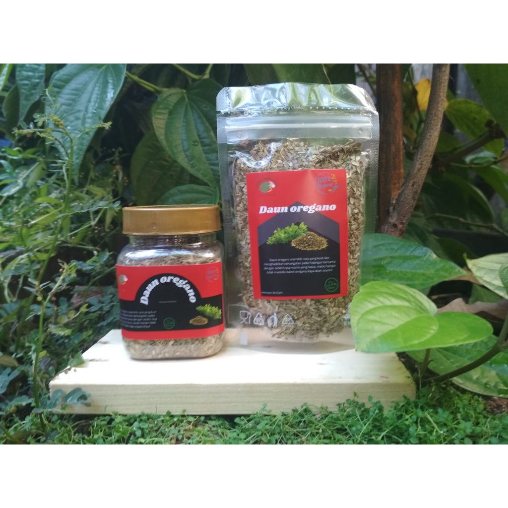 

Daun Oregano Asli 100% / Oregano Leaves