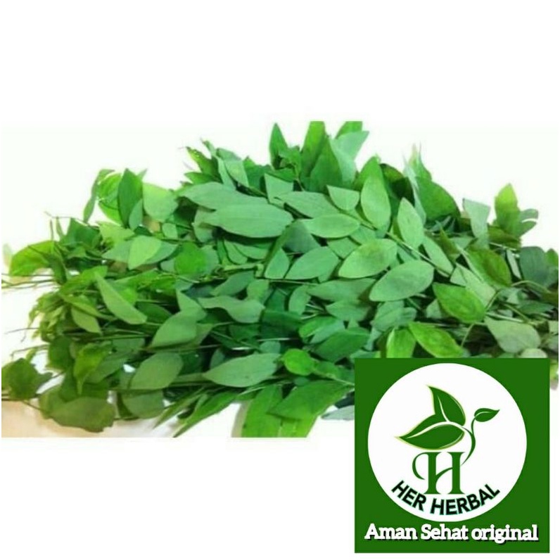 

Daun katuk segar fresh