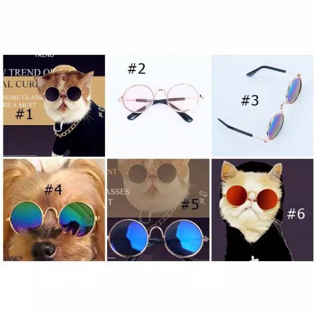 Kacamata anjing kucing aksesoris hewan cat dog sun glasses