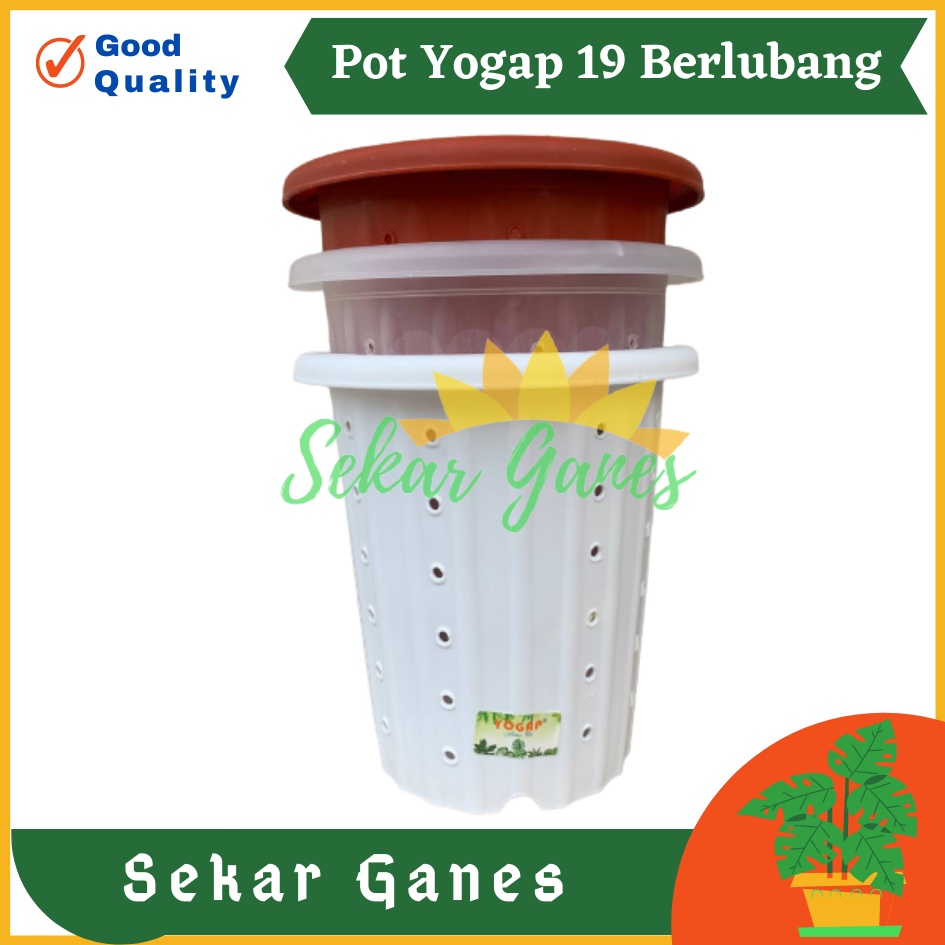 Sekarganes Pot Yogap 19 Putih Bening Transparan Merah Bata Merah Coklat Terracota Terracotta Berlubang POT BUNGA YOGAP UKURAN 19 DIAMETER 23CM BERLUBANG