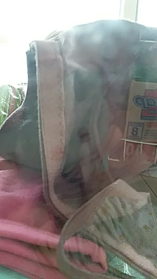 Harga Diskon! Hem Batik Pria Lengan Pendek (bisa Cod) Motif Terbaru Original Batik Pekalongan