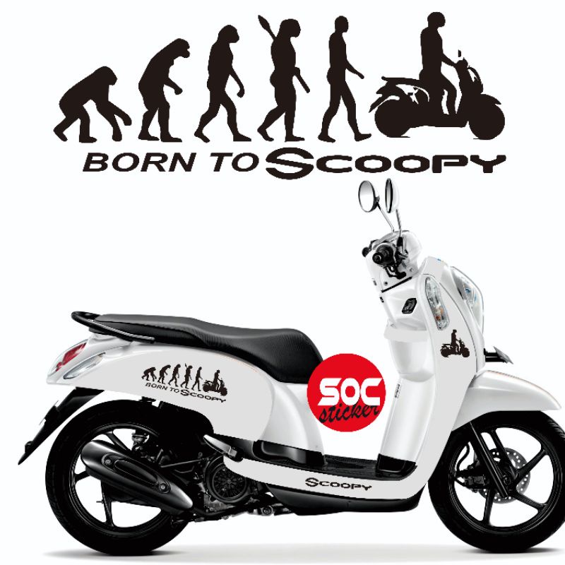 Sticker Cutting Scoopy 2017 2021 Striping Scoopy