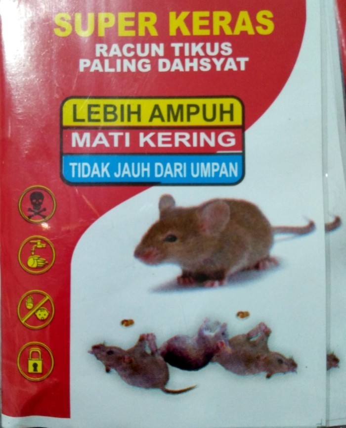 Racun Tikus SUPER KERAS MATI KERING 100% Basmi Lebih Ampuh Tidak Baru