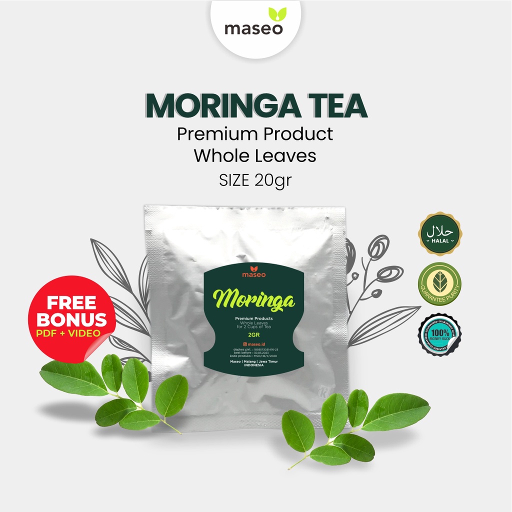 

Moringa Green Tea / Teh Hijau Daun Kelor Jaga Tubuh dari Radikal Bebas