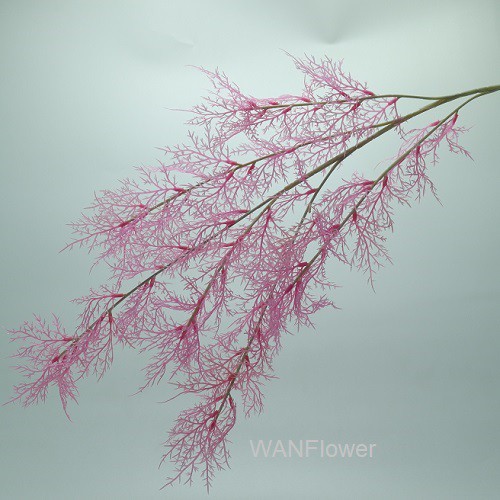 WANFLOWER Bunga Fox Tail Cemara X6 * PINK