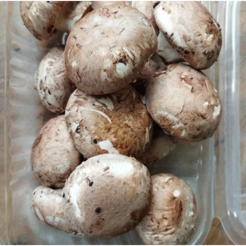 

Jamur Swiss Brown 250gr