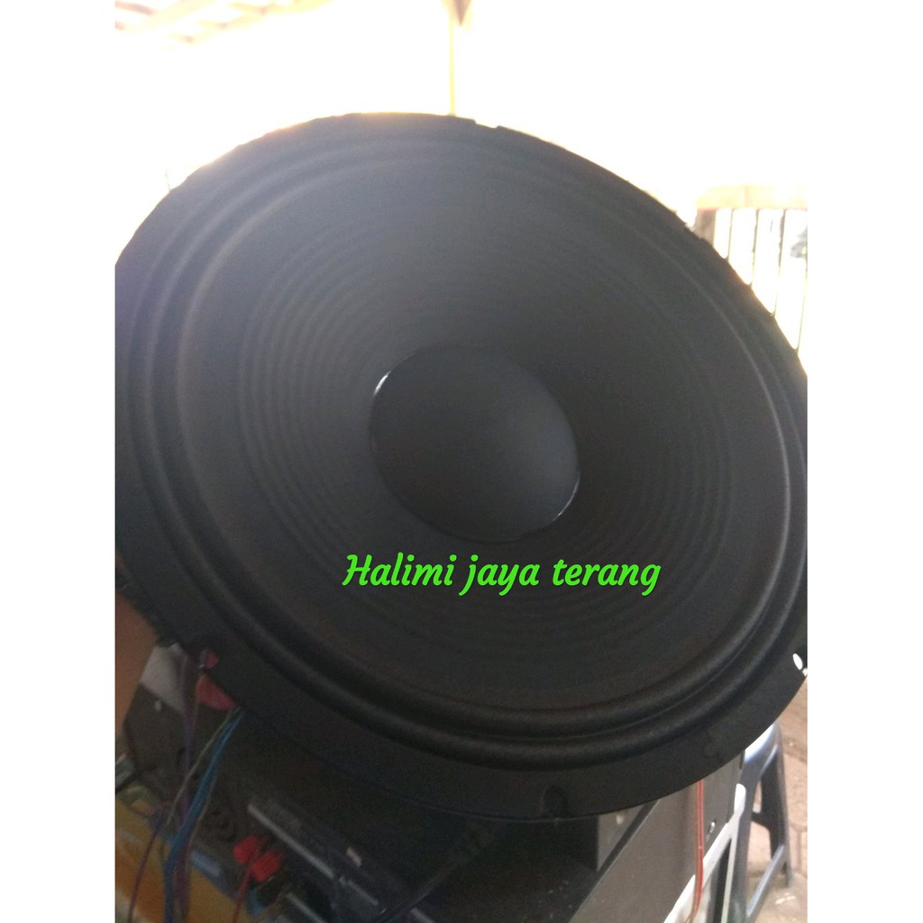speaker nvn 15 inch