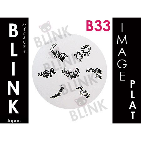 BLINK Image Plate  B22 - B33