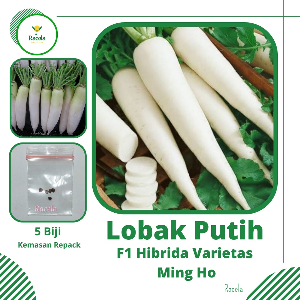 Jual 5 Biji Benih Lobak Putih F1 Hibrida Ming Ho Repack Bibit Tanaman