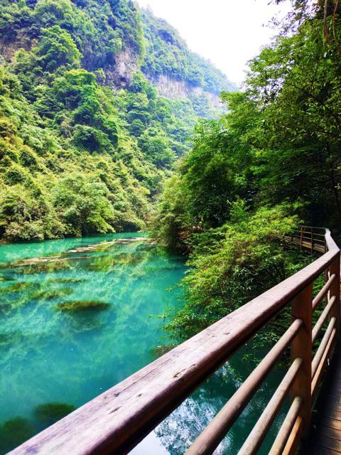 Kunci Ekspanda Al Dekkson Kc 909 (kunci Kawat Nyamuk Dekkson Kc 909)