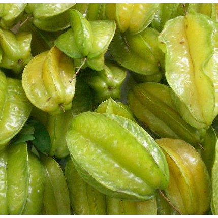 Buah Belimbing Segar