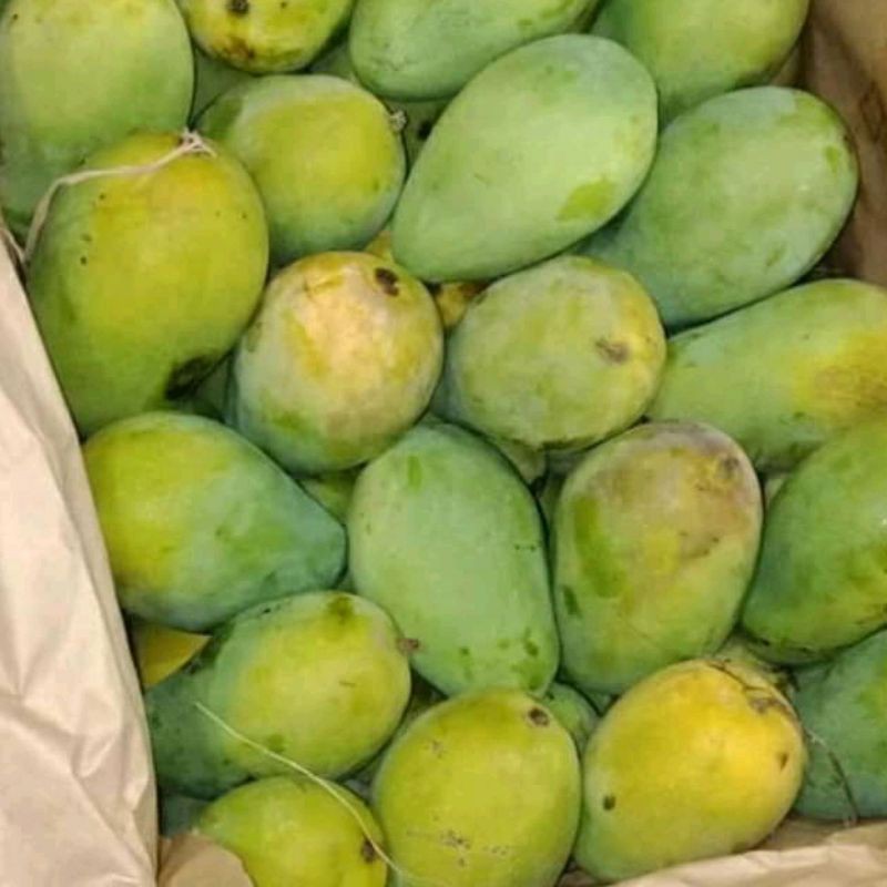 

mangga harum manis 1kg