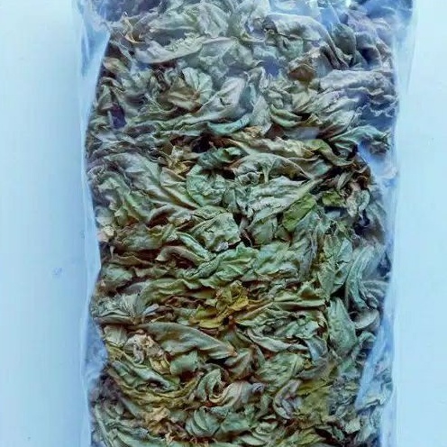 

[ORIGINAL] DAUN BELIMBING WULUH KERING TERMURAH 250 GRAM